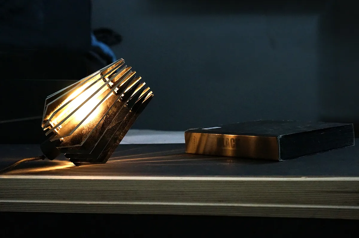 Shade Lamp - image 4