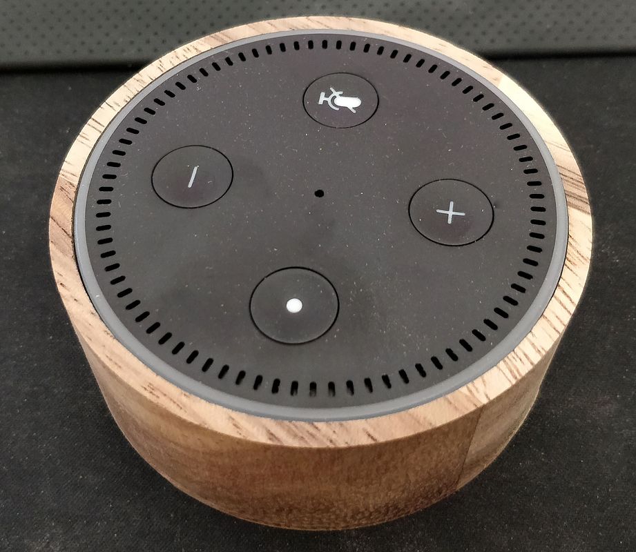 Amazon Echo Dot 2 case