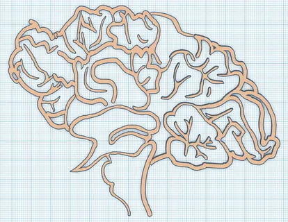 The Brain Project