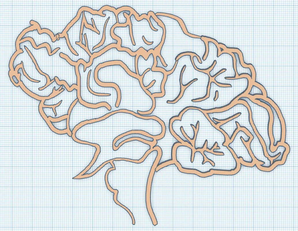 The Brain Project - image 1