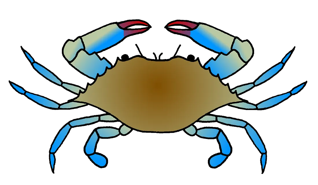 TEST CRAB - image 1
