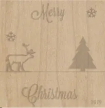 Christmas Project