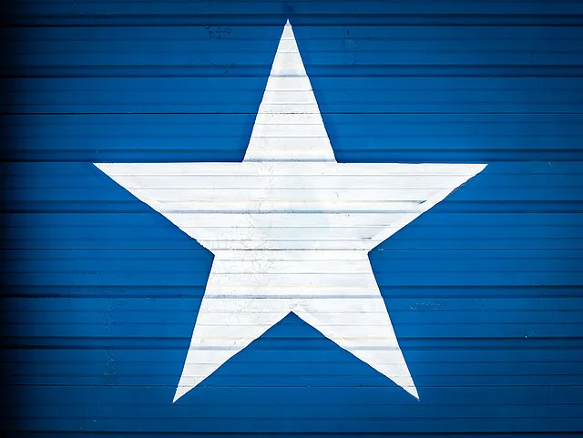 star - image 1