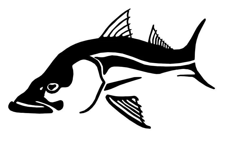SNOOK - image 1