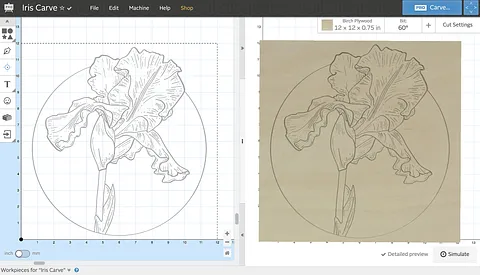 Iris Carve