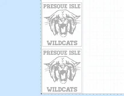 wildcats 