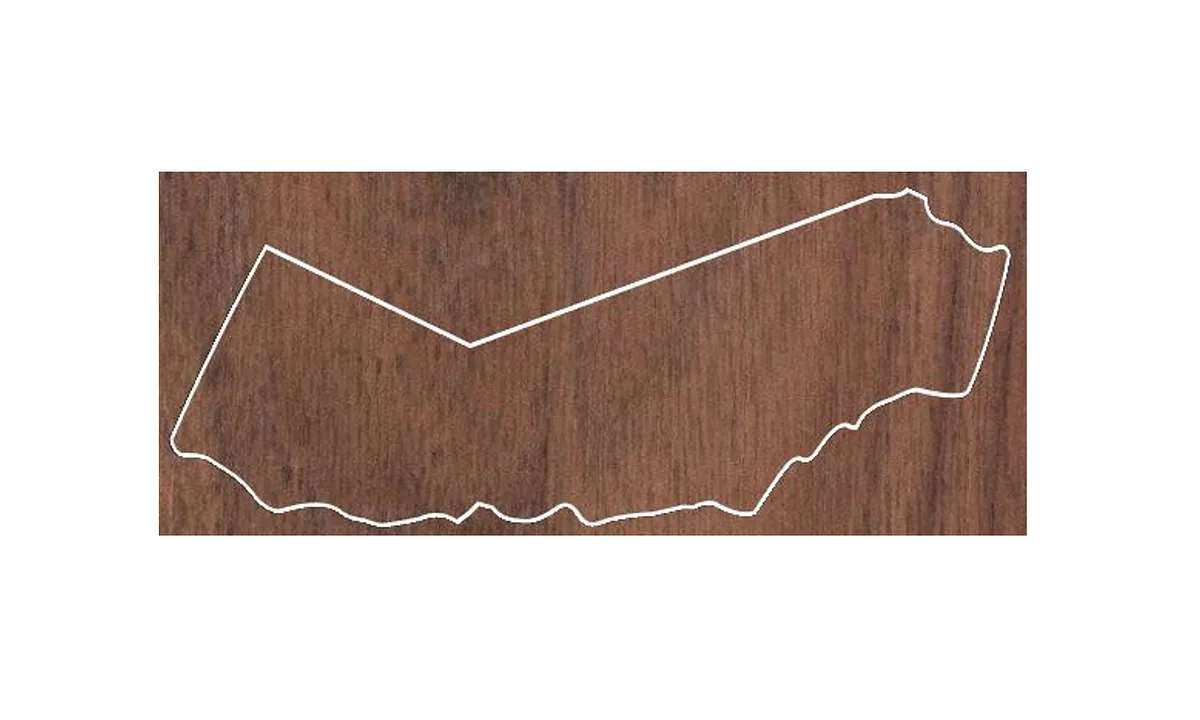 California Shaped Plaque/Award - image 1