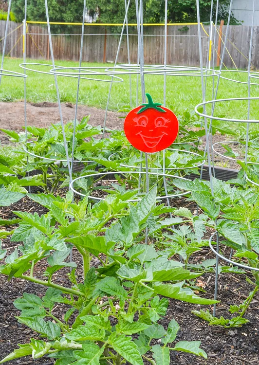 Acrylic Garden Makers — Make the stakes (optional)
