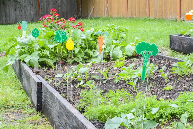 Acrylic Garden Makers - image 5