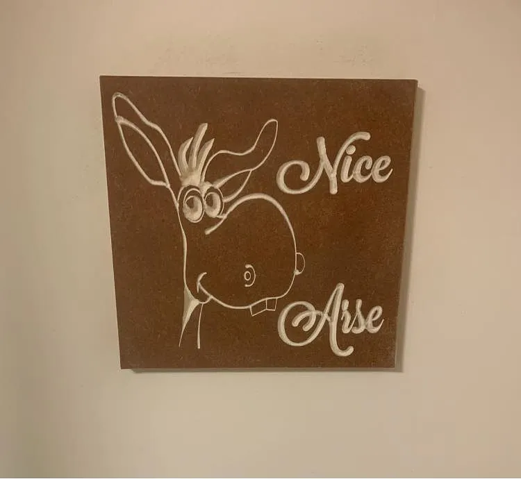 NIce Arse Donkey head - image 1