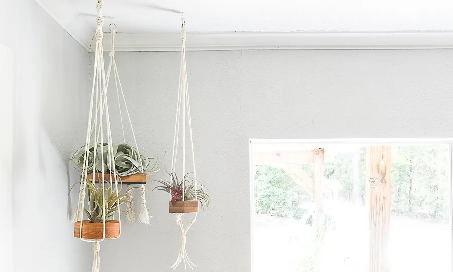 Hanging Air Plant Holders - image 1