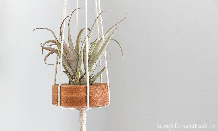 Hanging Air Plant Holders - image 2