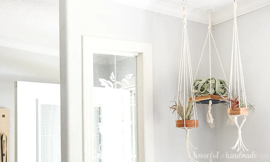 Hanging Air Plant Holders - image 3