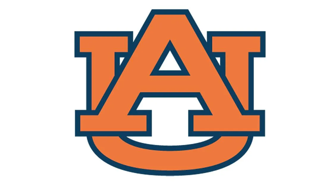auburn - image 1