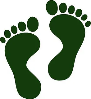 feet