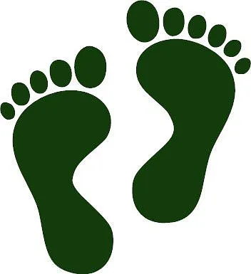 feet - image 1