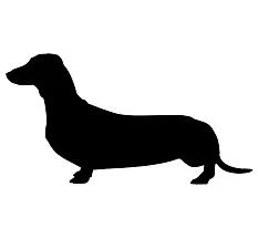 weiner dog