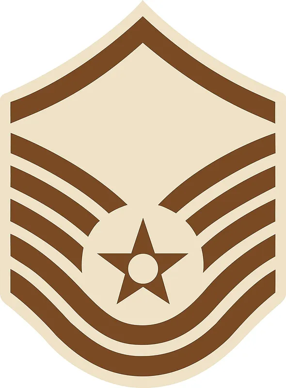 msgt - image 1