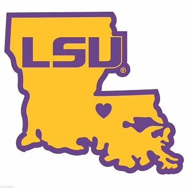 lsu - image 1