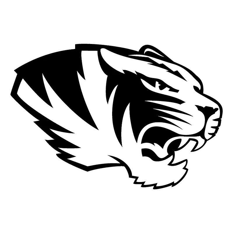 tiger - image 1