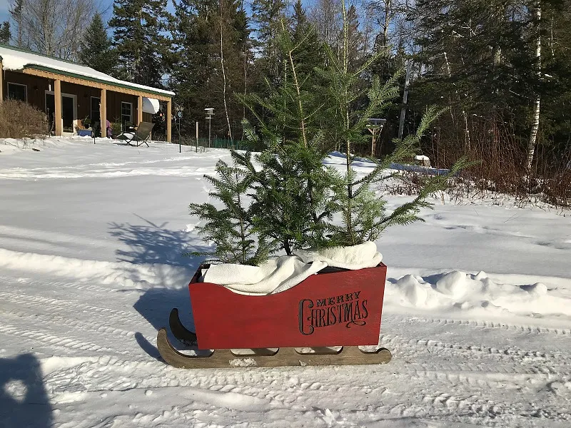 Christmas Tree Sleigh — Begin by carving any images desired
