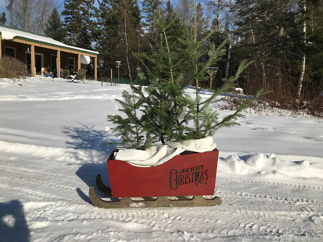 Christmas Tree Sleigh - image 1