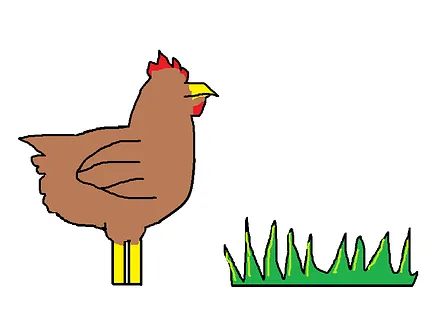 Chiken