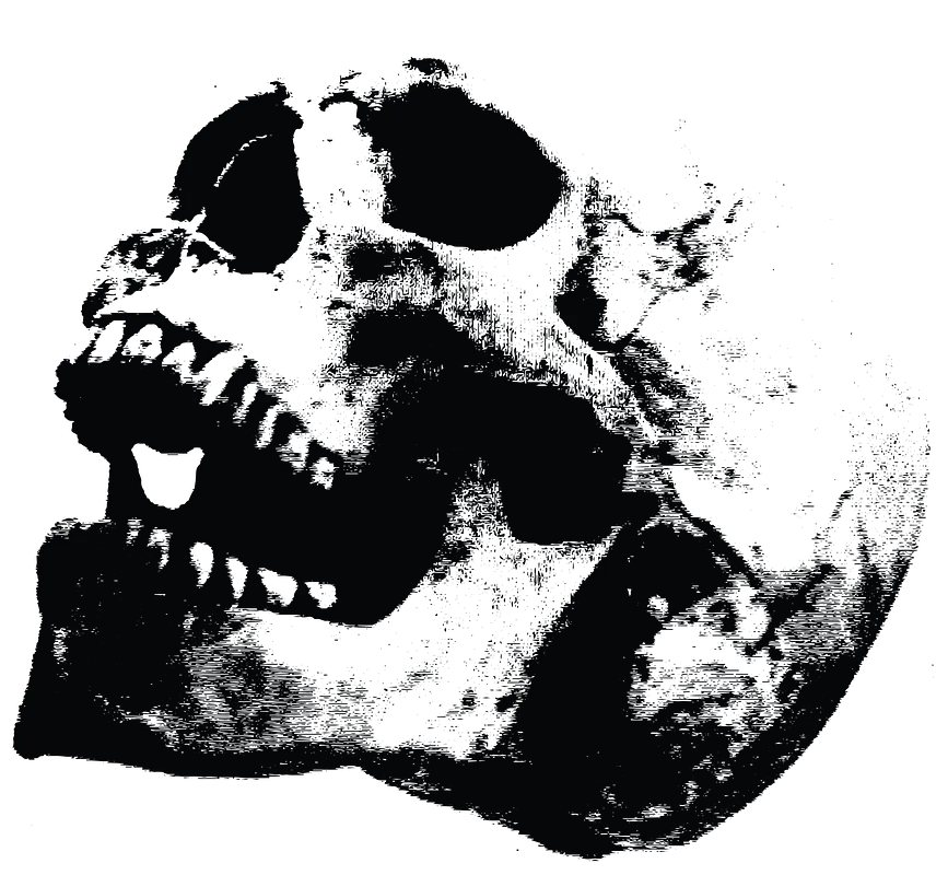 Motor Mounts - image 1
