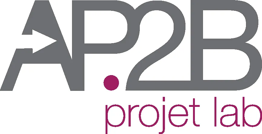 AP reduit 260mm 4mmZ - image 1