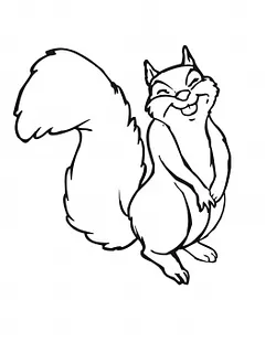 FUNNY SQURRIEL