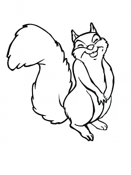 FUNNY SQURRIEL - image 1
