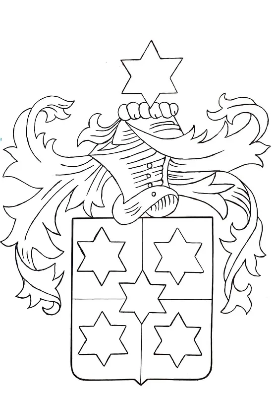 arms - image 1