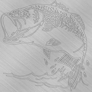 Donald's-Big Fish