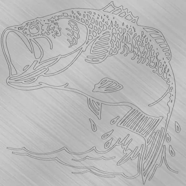 Donald's-Big Fish - image 1