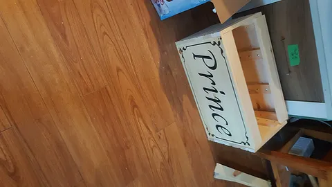 dog food container