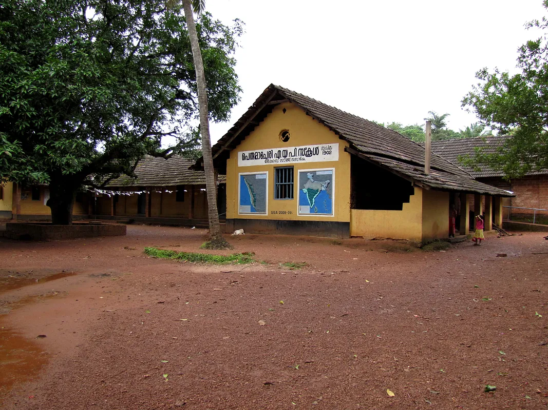 dalp5 - image 1