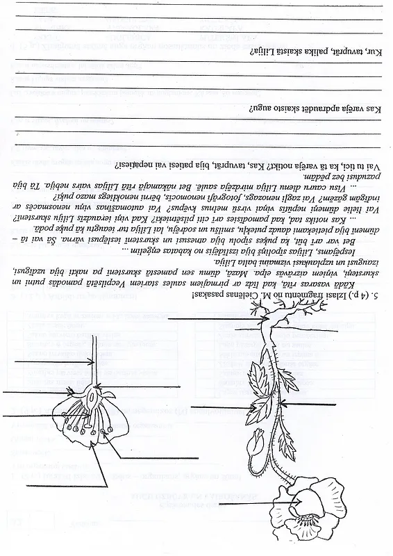 Untitled - image 1