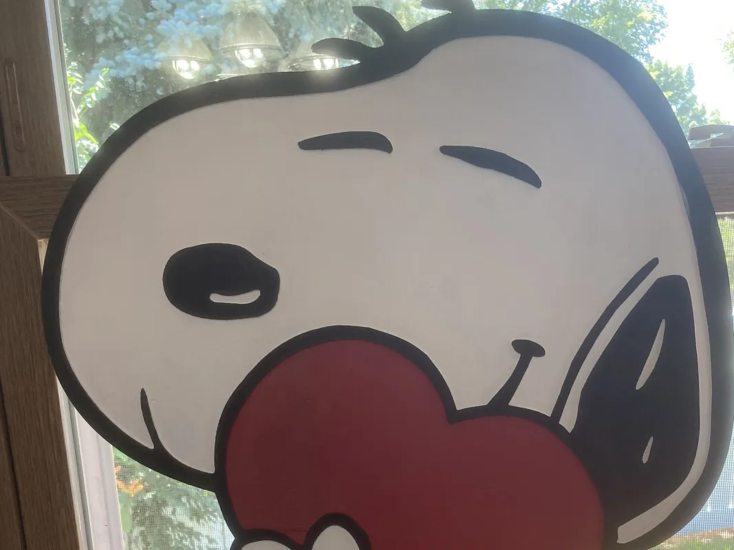 Charlie Brown & Snoopy & Peanuts Gang - image 3