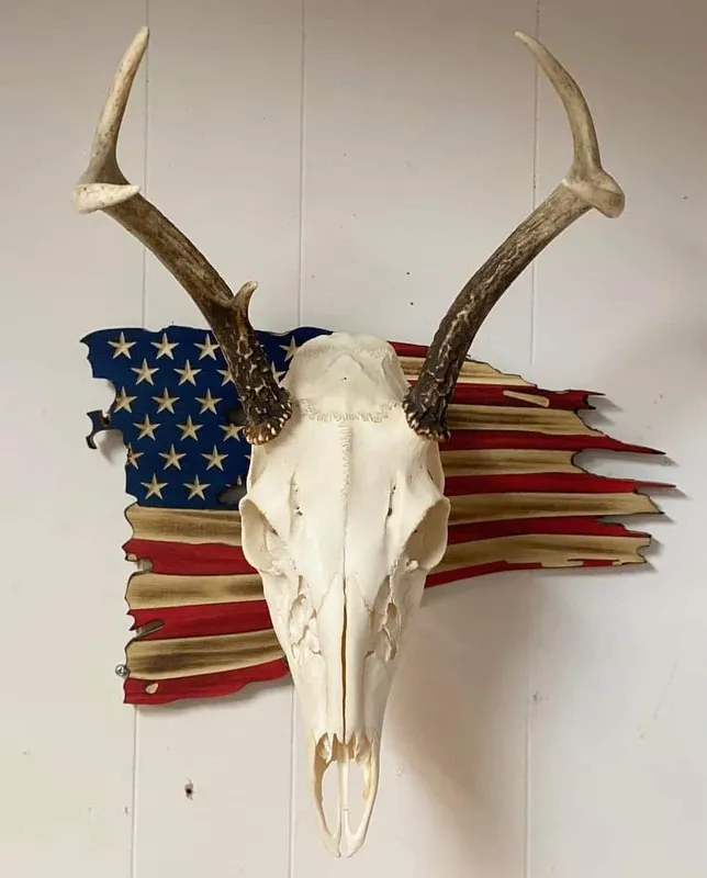 Deer Flag European Mount - image 2