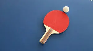 juans ping pong - image 1