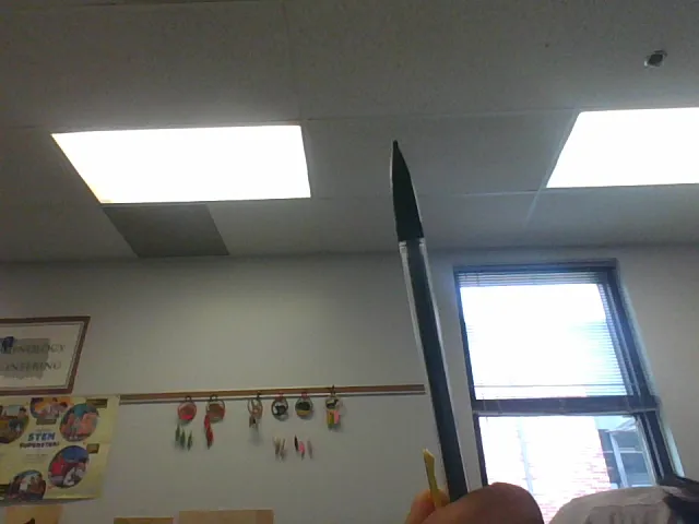 duckpaddle - image 1