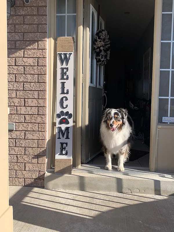 Welcome Sign - image 1