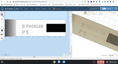 B_Fackler_5_rbc