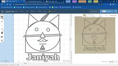j_gray1 cat