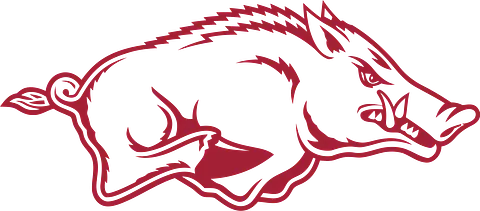 Razorback Hog