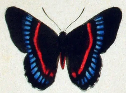 Family Crest