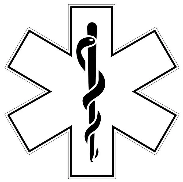 Small Flag Paramedic - image 1