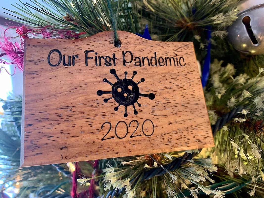 2020 Ornament, Our First Pandemic - image 2