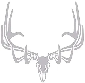 elk skull