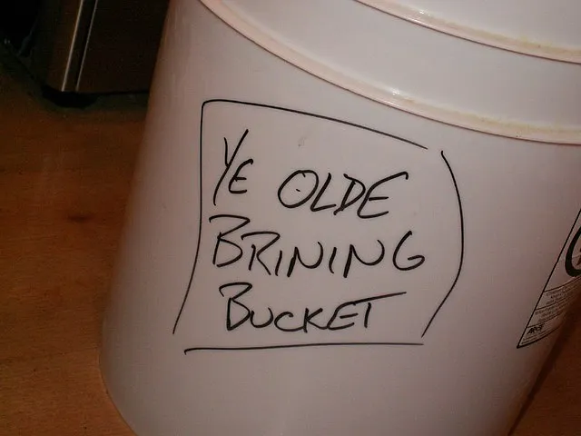 Copy of Key and Lock Brine bucket parts - image 1